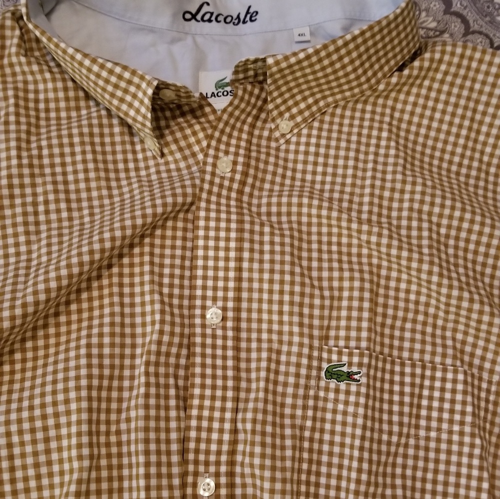 Shirts lacost - Picture 3 of 3